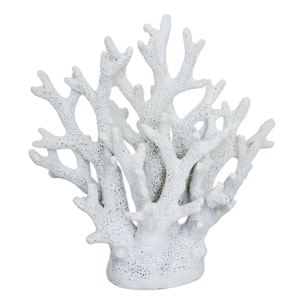 Objet déco corail Ocea 17x8,5x17cm