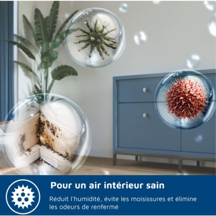 Deshumidificateur PHILIPS Gobi+ DE5305/11 Série 5000