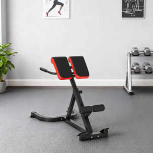 Banc de musculation réglable 5 niv. - banc lombaire - banc hyperextension