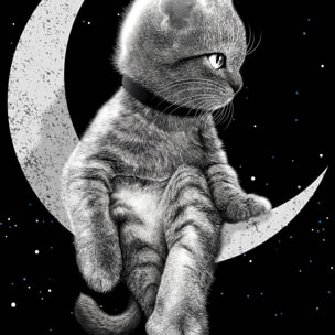 Affiche enfant chat rêveur  Affiche + cadre en bois - Chêne