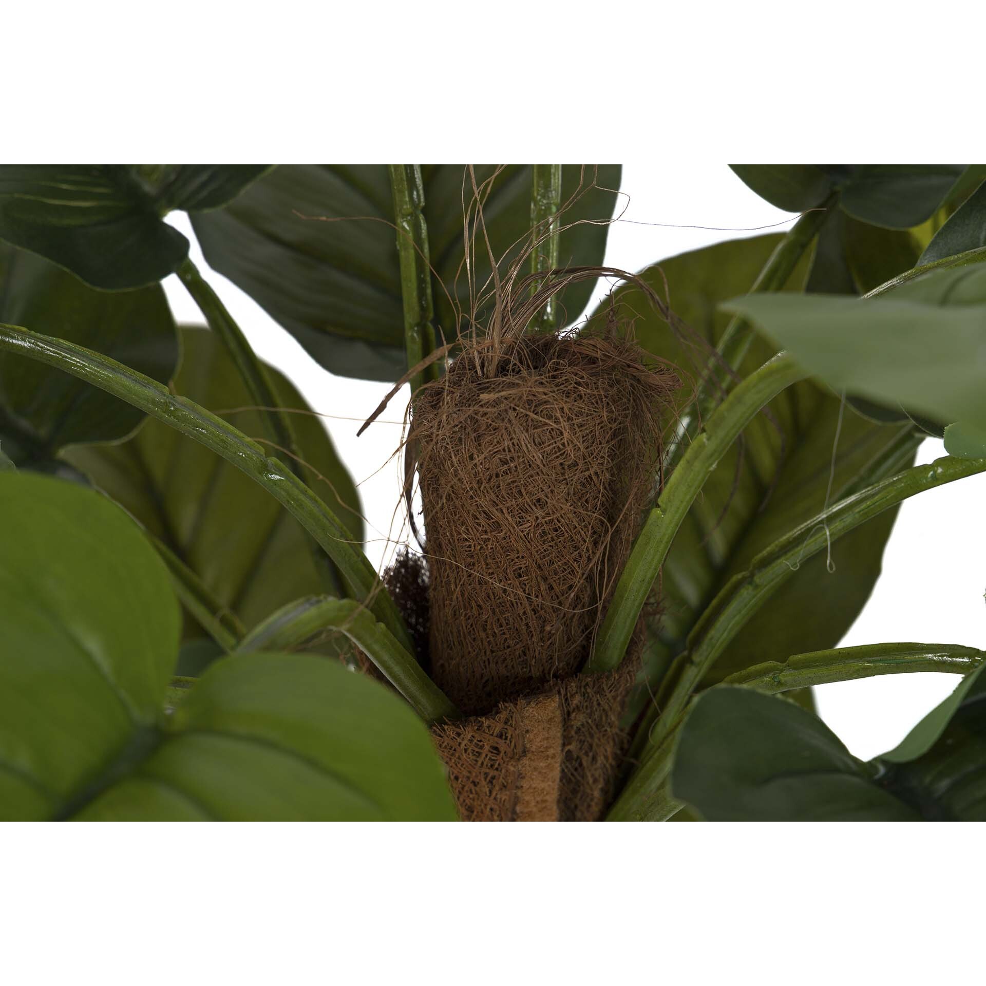 Planta Artificial Rhadhidophora Aureum Con Maceta 50x50x73 Cm