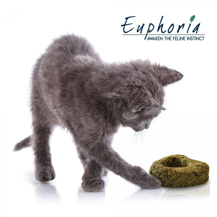 Euphoria Cuore Catnip