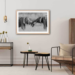 Affiche éléphant ...qui es tu? Affiche + cadre en bois - Chêne