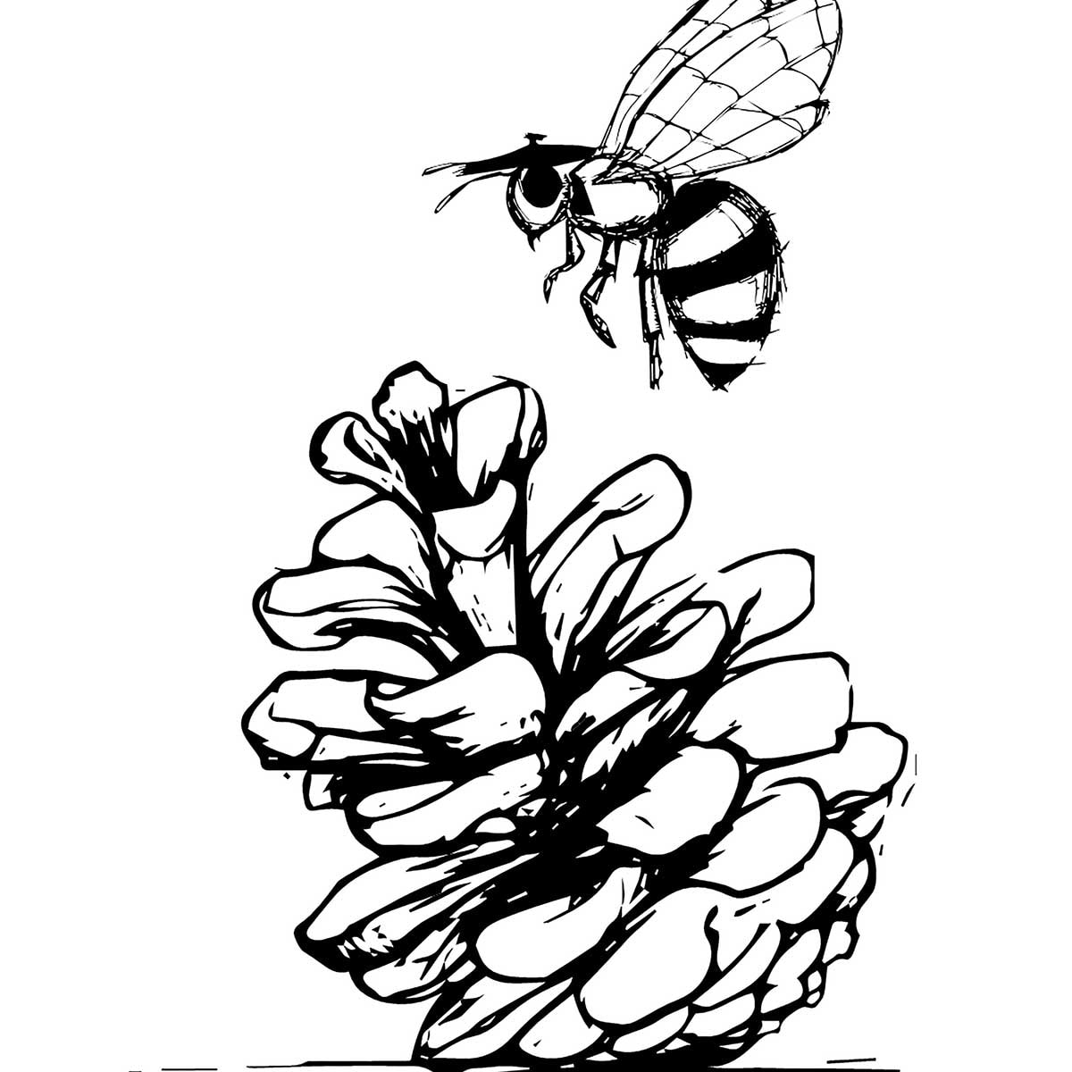 Poster pomme de pins et abeille Affiche sous cadre noir