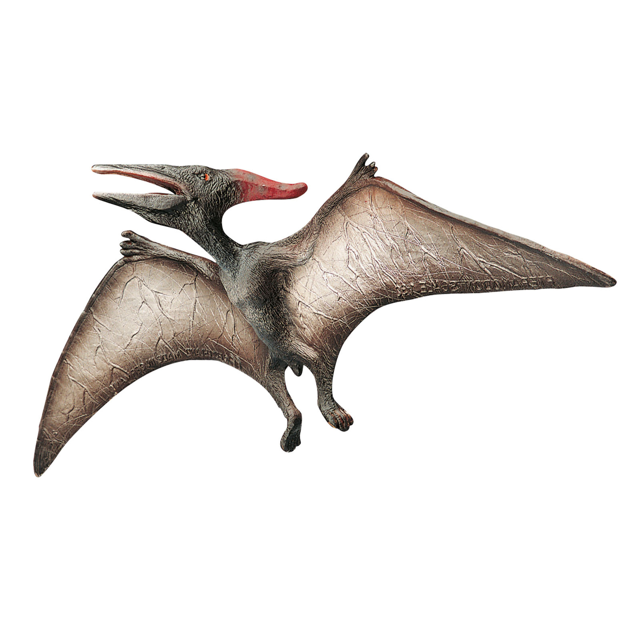 Dinosauri/Pterodattilo Linea Museo Naturale