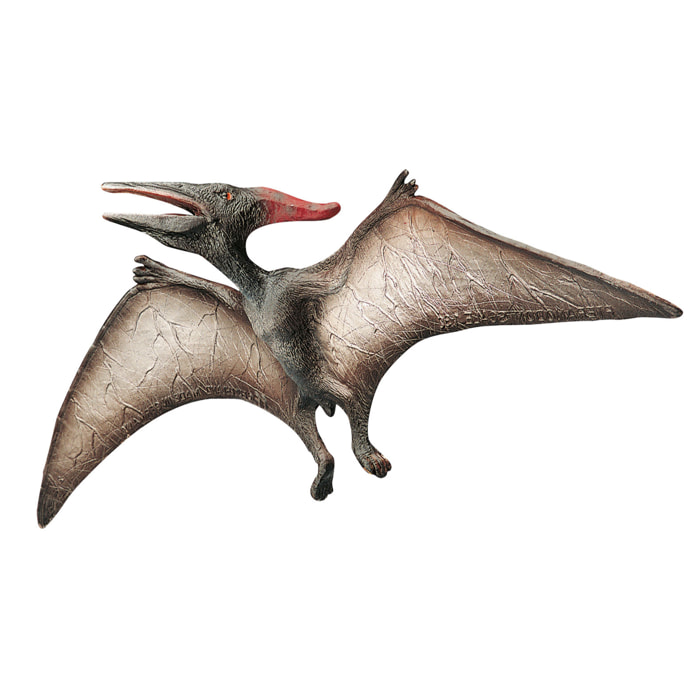 Dinosauri/Pterodattilo Linea Museo Naturale