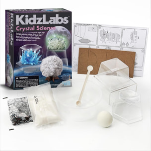 Kidzlabs - La Scienza dei Cristalli