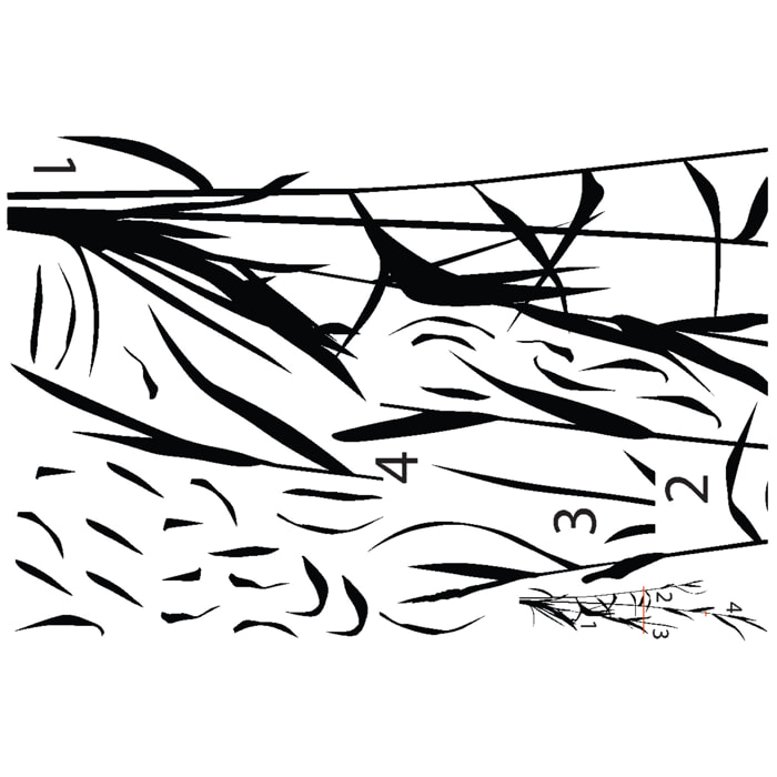 Stickers muraux | Sticker Mural Autocollant - NATURE HERBES HAUTES - adhésifs fond transparent