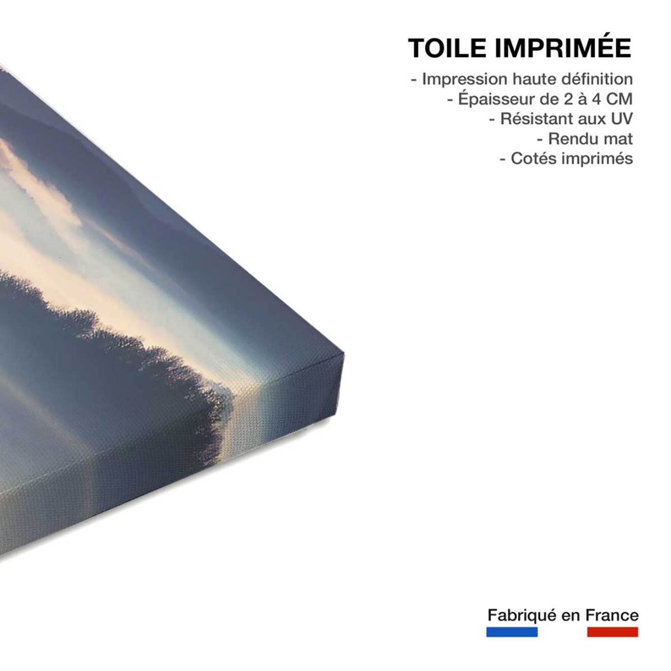 Tableau brume magique Toile imprimée