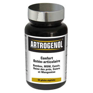 NUTRI EXPERT - Artrogenol - Confort ostéo-articulaire - Formulée à base de Bambou, MSM, Cassis, Reine des prés, Cuivre et Manganèse - Cure de 30 j - 60 gélules végétales