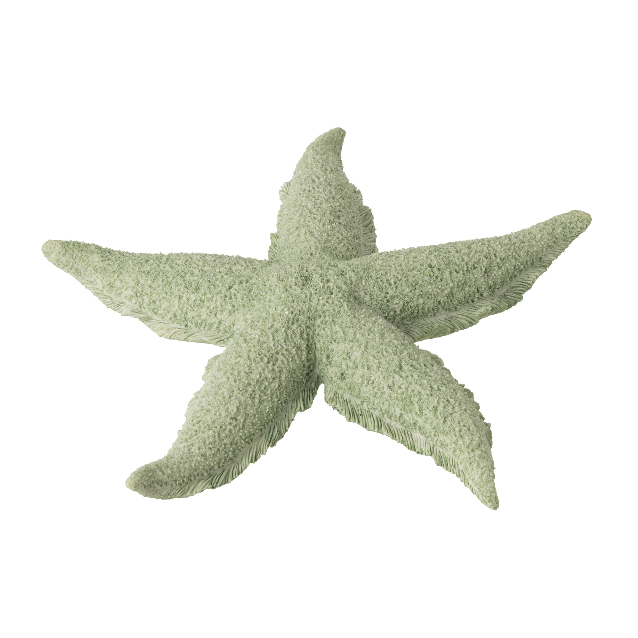 J-Line Étoile de Mer décorative - polyrésine - vert menthe - large