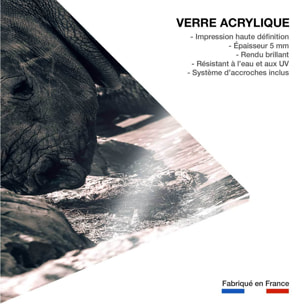 Tableau rhinoceros hommage à sudan.. Tableau plexiglas