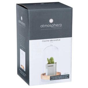 Cloche verre bois H19cm