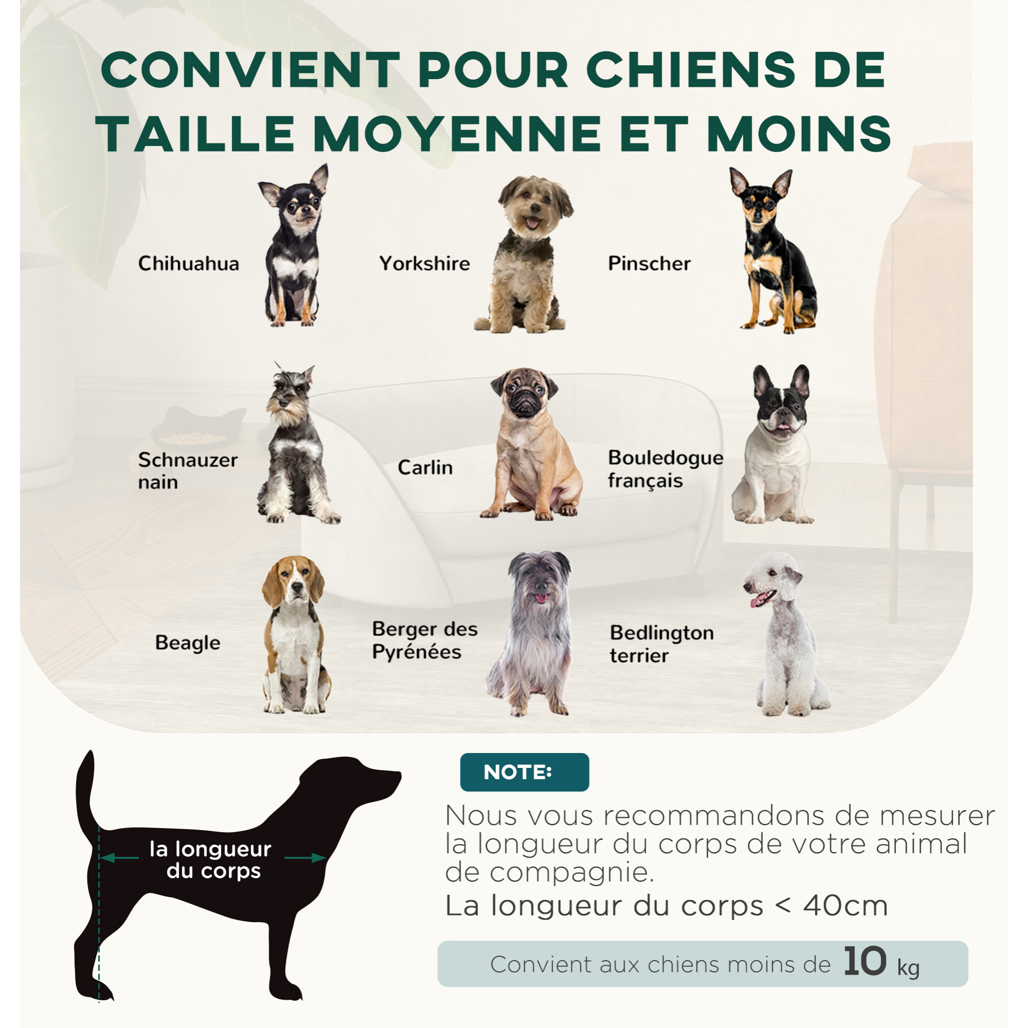 Canapé pour chien design - coussin déhoussable - dim. 67L x 43l x 31H cm - velours gris