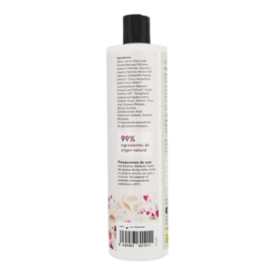PLANETA HUERTO | Champú Potenciador de Brillo con Flor de Hibisco y Coco 500 ml - Hidratación y Luminosidad Natural
