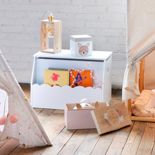 Caja de juguetes y biblioteca infantil