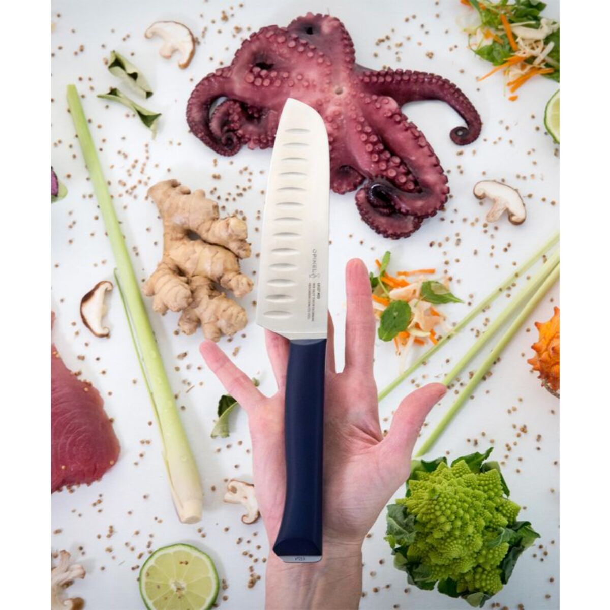 Couteau japonais OPINEL Santoku Intempora No219