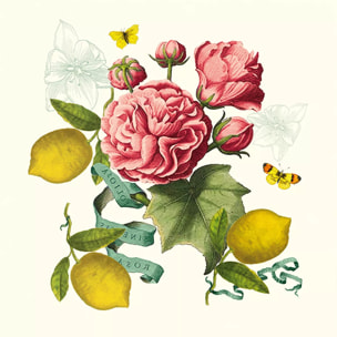 Serviette lin & coton lavé 190 g/m² imprimé multicolore Citrons de menton romance