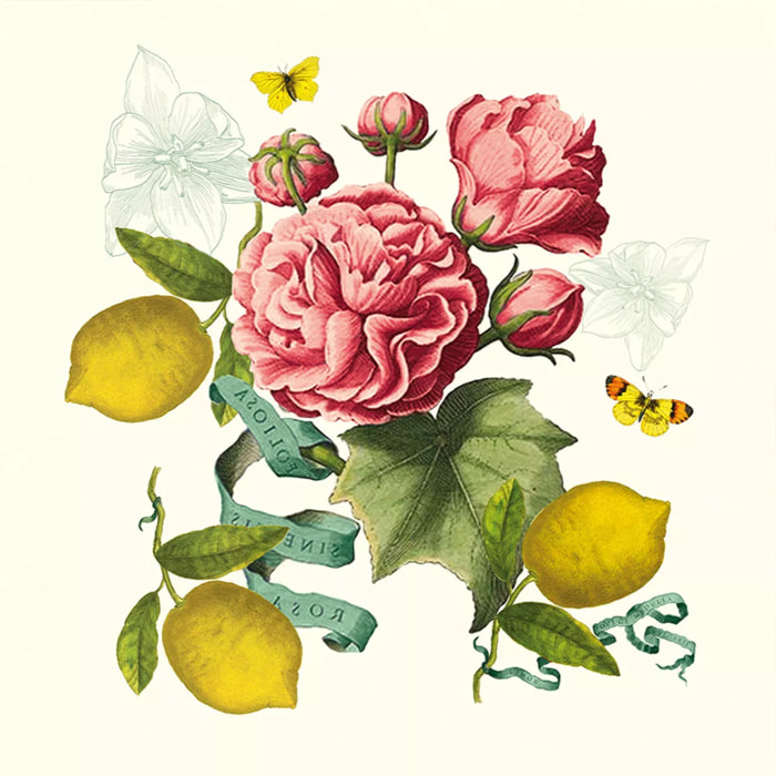 Serviette lin & coton lavé 190 g/m² imprimé multicolore Citrons de menton romance