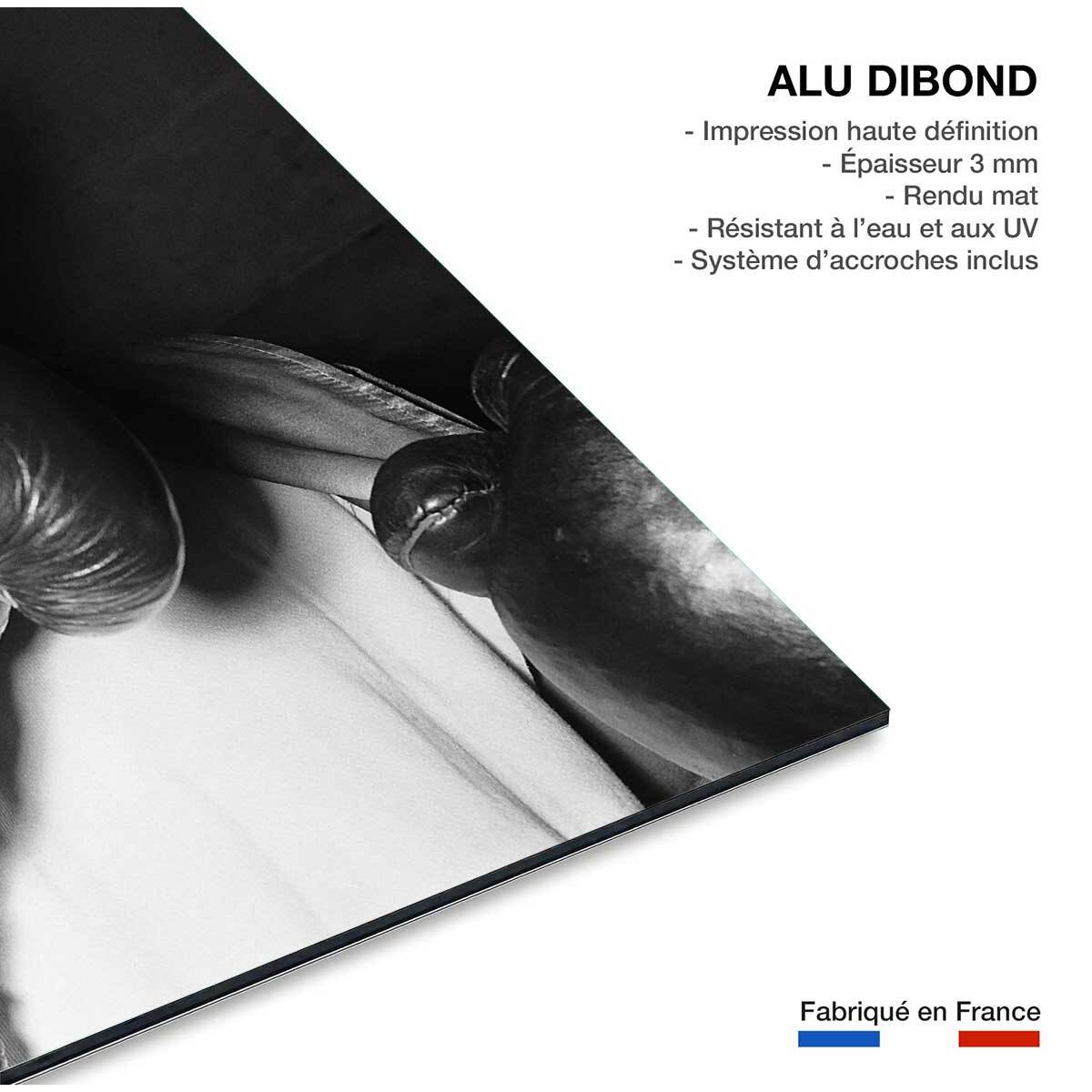 Tableau star de boxeTigers Jones Tableau alu Dibond