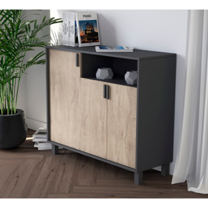 Zapatero Dyrnes melamina grafito puertas roble claro 88x100x37 cm