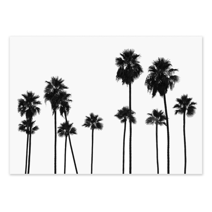 Affiche - Palm Trees LA - Philippe Hugonnard