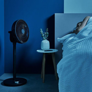 Ventilateur DUUX connecté whisper flex smart DXCF12