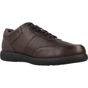 Sneakers de  Hombre de la marca STONEFLY  modelo STREAM 33 NAPPA LTH Brown