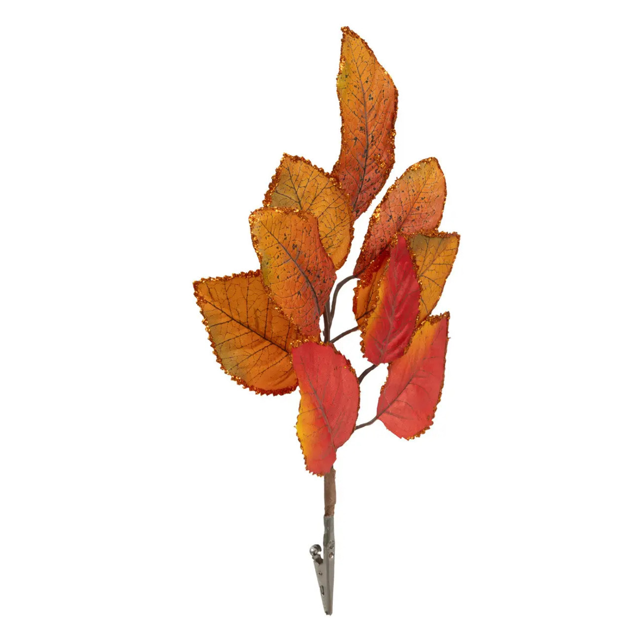 Branche de feuilles de magnolia automne sur pince