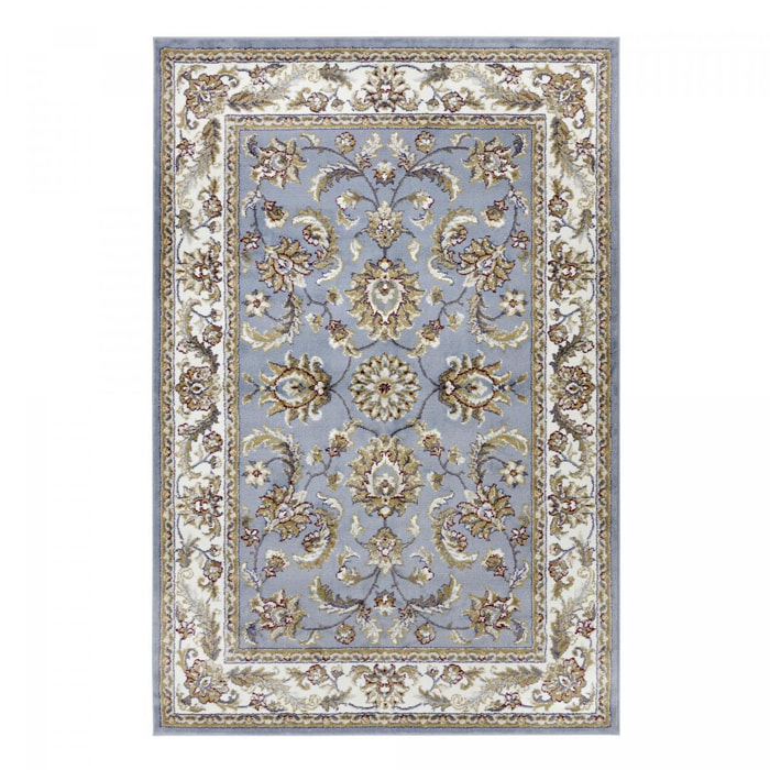 Tapis salon Rectangulaire Oriental