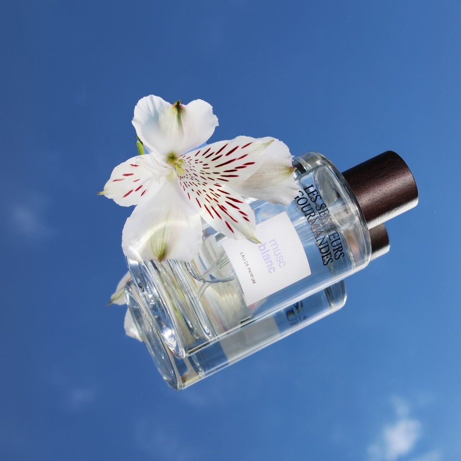 Musc Blanc  - Eau de Parfum