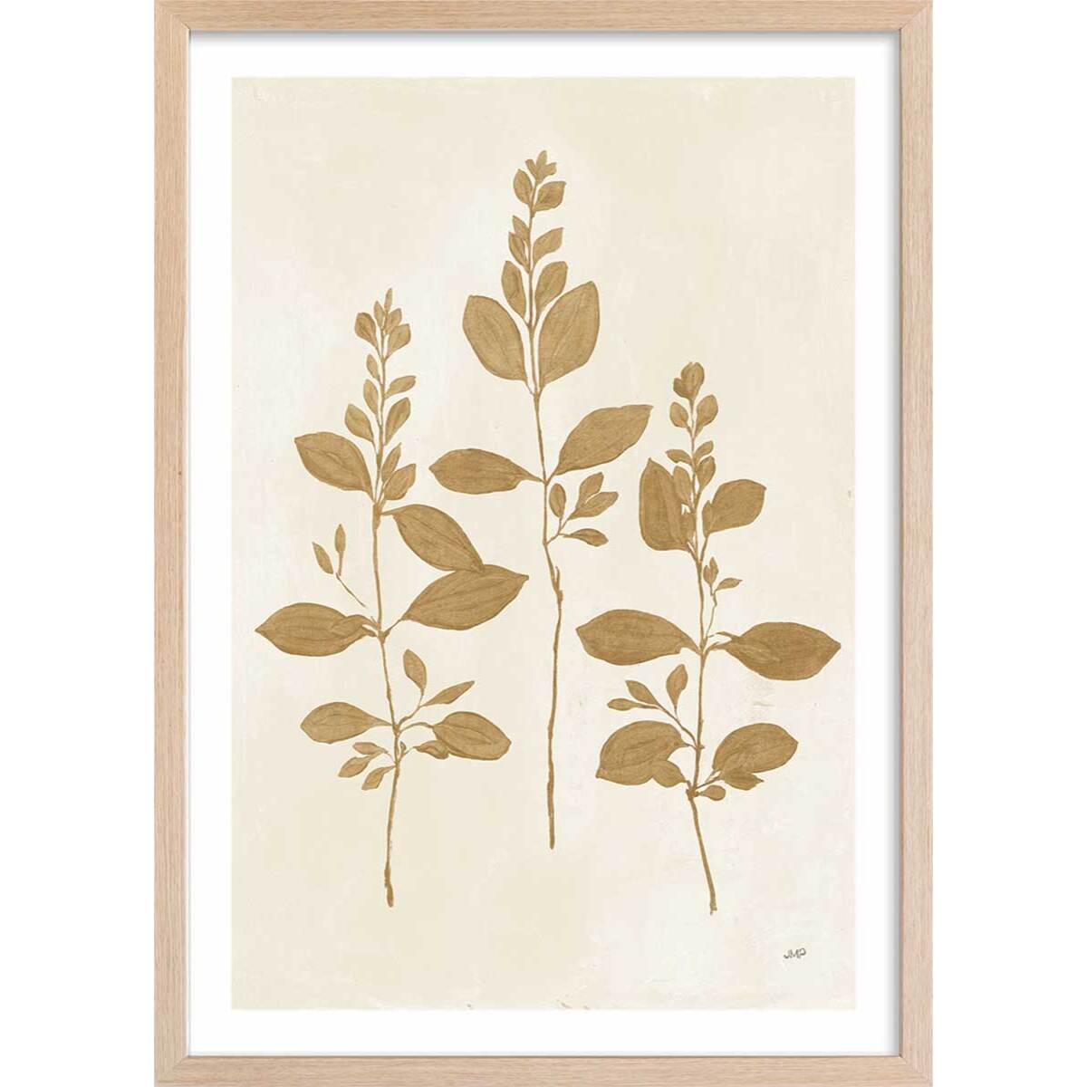 Affiche fleurs Recolte d'or Fresca Affiche sous cadre bois