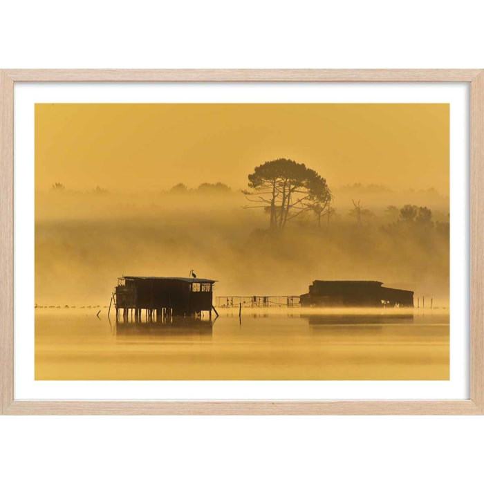 Affiche photo tonne landaise au petit matin Affiche + cadre en bois - Chêne