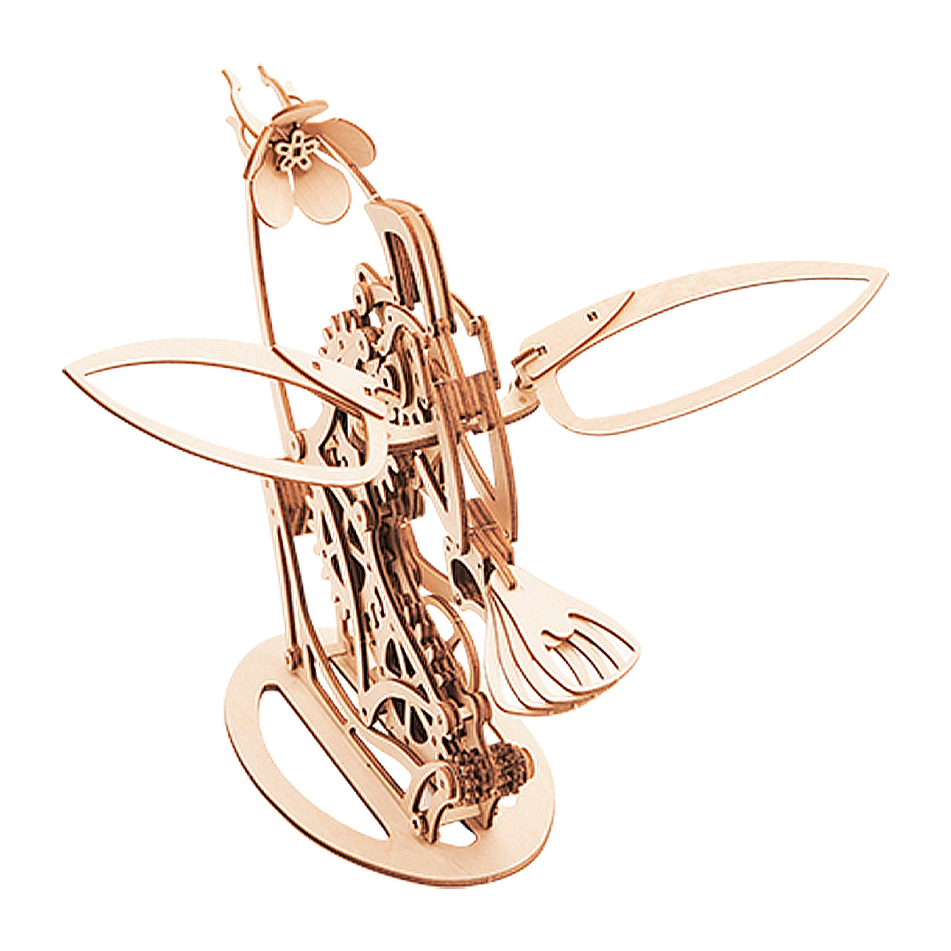 Modello in legno 3D, design di Colibrì meccanico.