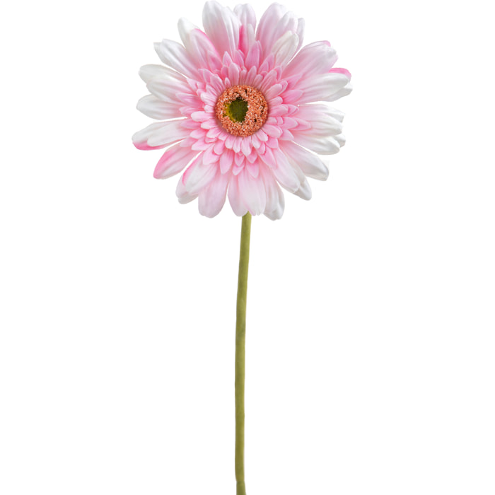 Fiore Di Gerbera Singolo. Altezza 62 Cm - Pezzi 12 - 12X62X12cm - Colore: Rosa - Bianchi Dino - Gerbera, Garofano E Gladiolo