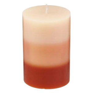 Bougie parfumée fruits exotiques 310g