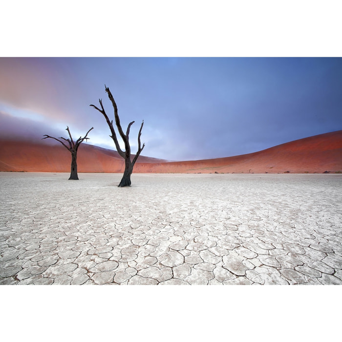 Tableau de Namibie, Le deadvlei Toile imprimée