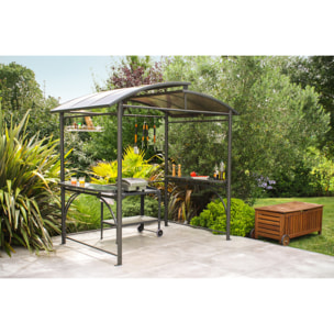 ABRI-BARBECUE - Abri de jardin en aluminium et polycarbonate gris anthracite