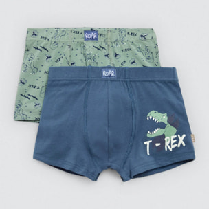 Confezione da 2 boxer in cotone per bambini con stampa di dinosauri