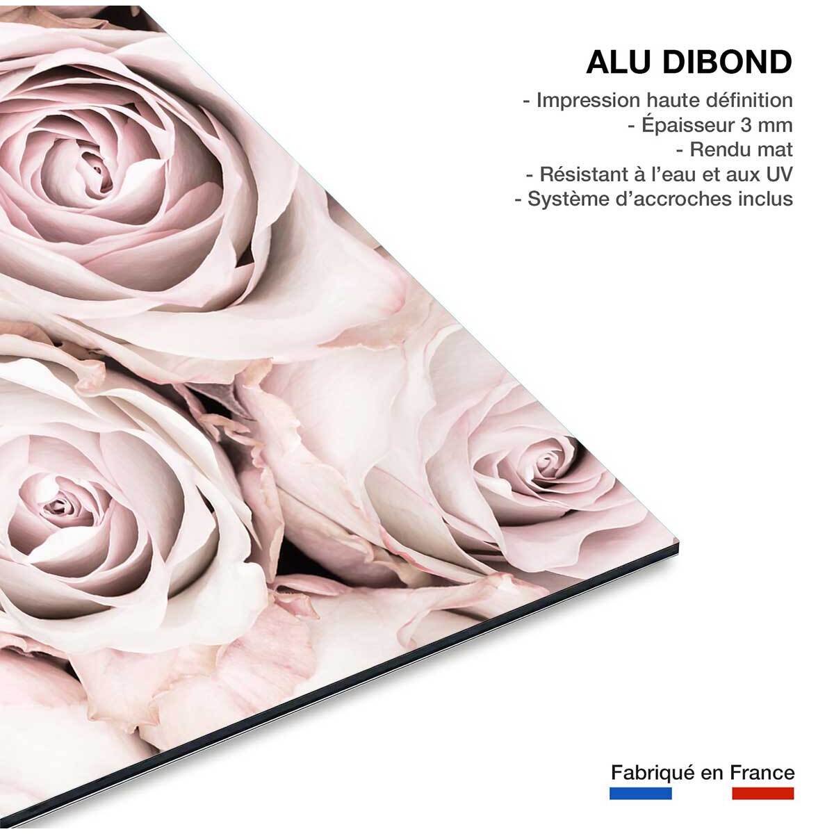 Tableau rosa alba Tableau alu Dibond