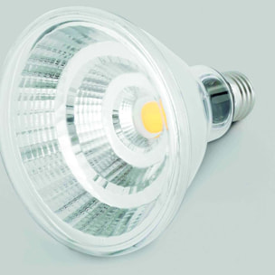 Ampoule PAR38 E27 LED 12W IP65 3000K 810Lm