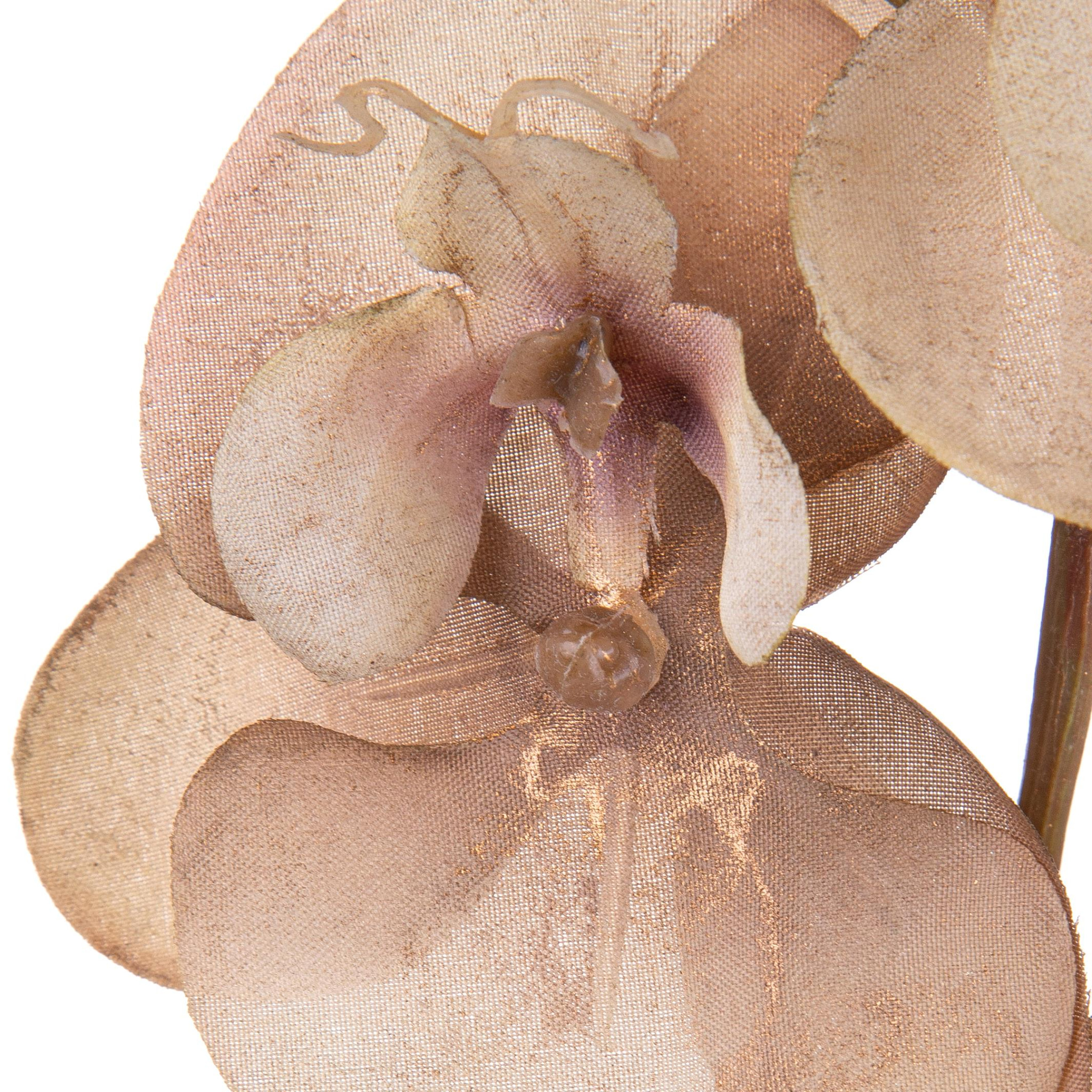 Phalenopsis br/gold - Pezzi 12 - BEIGE - Bianchi Dino SpA