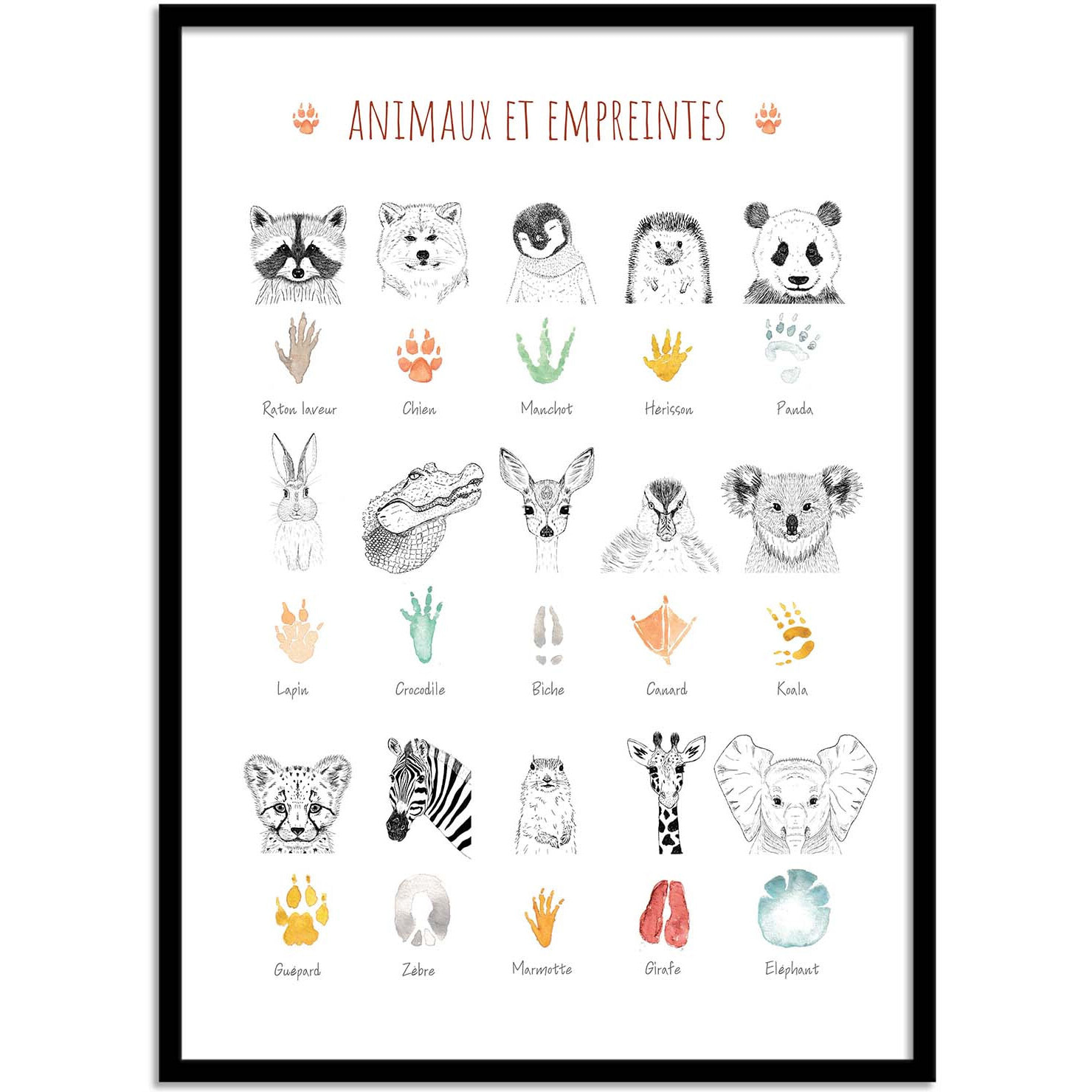 Affiche - Animaux et empreintes - Les loulous