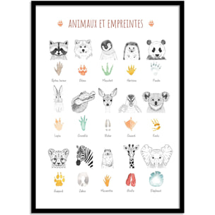 Affiche - Animaux et empreintes - Les loulous