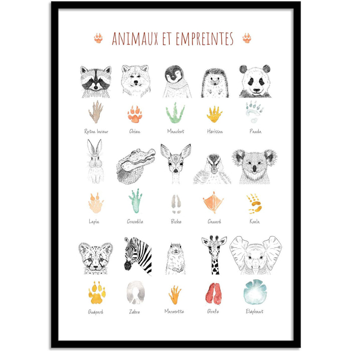 Affiche - Animaux et empreintes - Les loulous