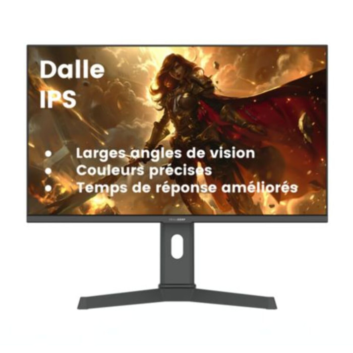 Ecran PC Gamer SKILLKORP M27 27" QHD 200Hz Fast IPS HDMI 2.1 AMD FreeSync