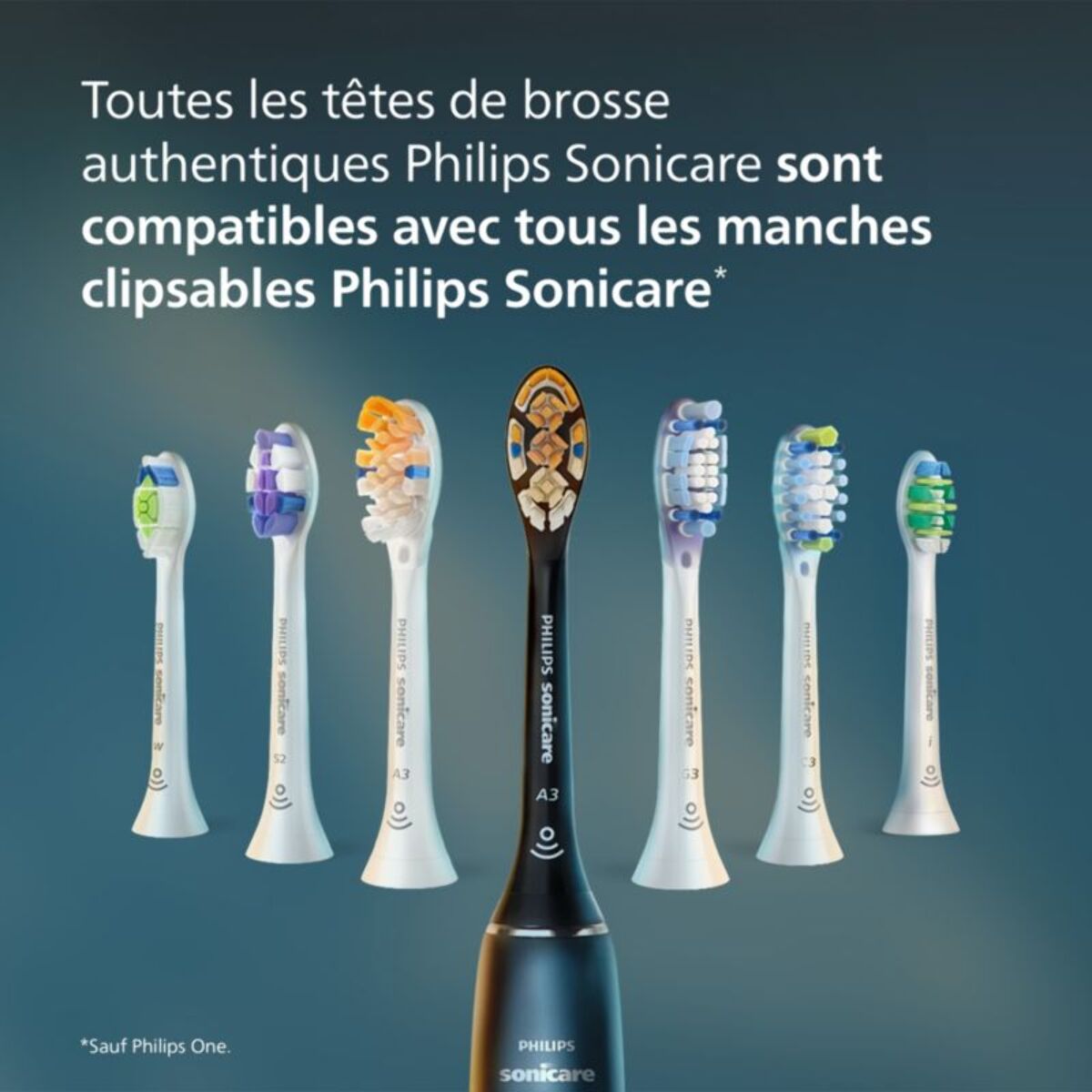 Brossette dentaire PHILIPS Sonicare lot de 6 InterCare blanc