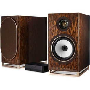 Enceinte bibliothèque active TRIANGLE Capella Nébuleuse Brune