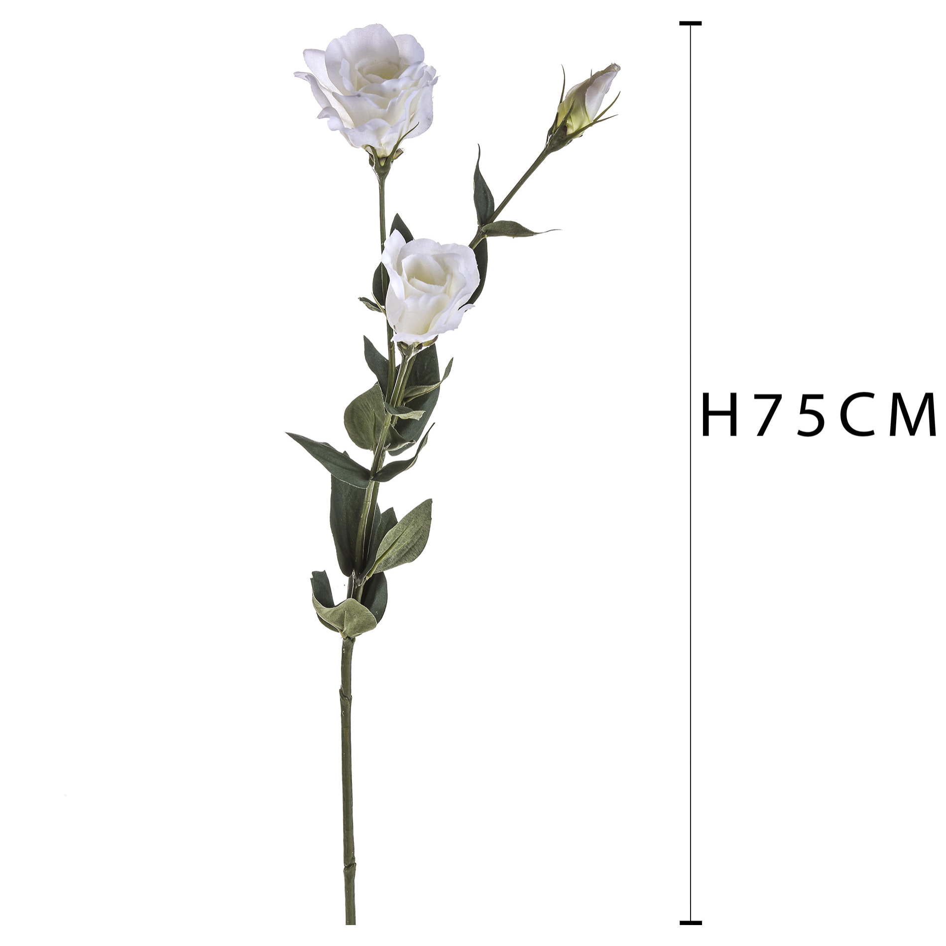 Lisianthus Composto Da 3 Fiori. Altezza 75 Cm - Pezzi 6 - 10X75X19cm - Colore: Bianco - Bianchi Dino - Fiori Artificiali