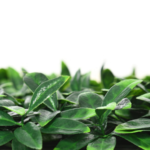 Haie artificielle feuilles de laurier - treillis extensible - brise-vue canisse végétale feuillage réaliste 12 panneaux 50L x 50l cm PE vert